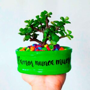 Mini maceta verde piedras colores