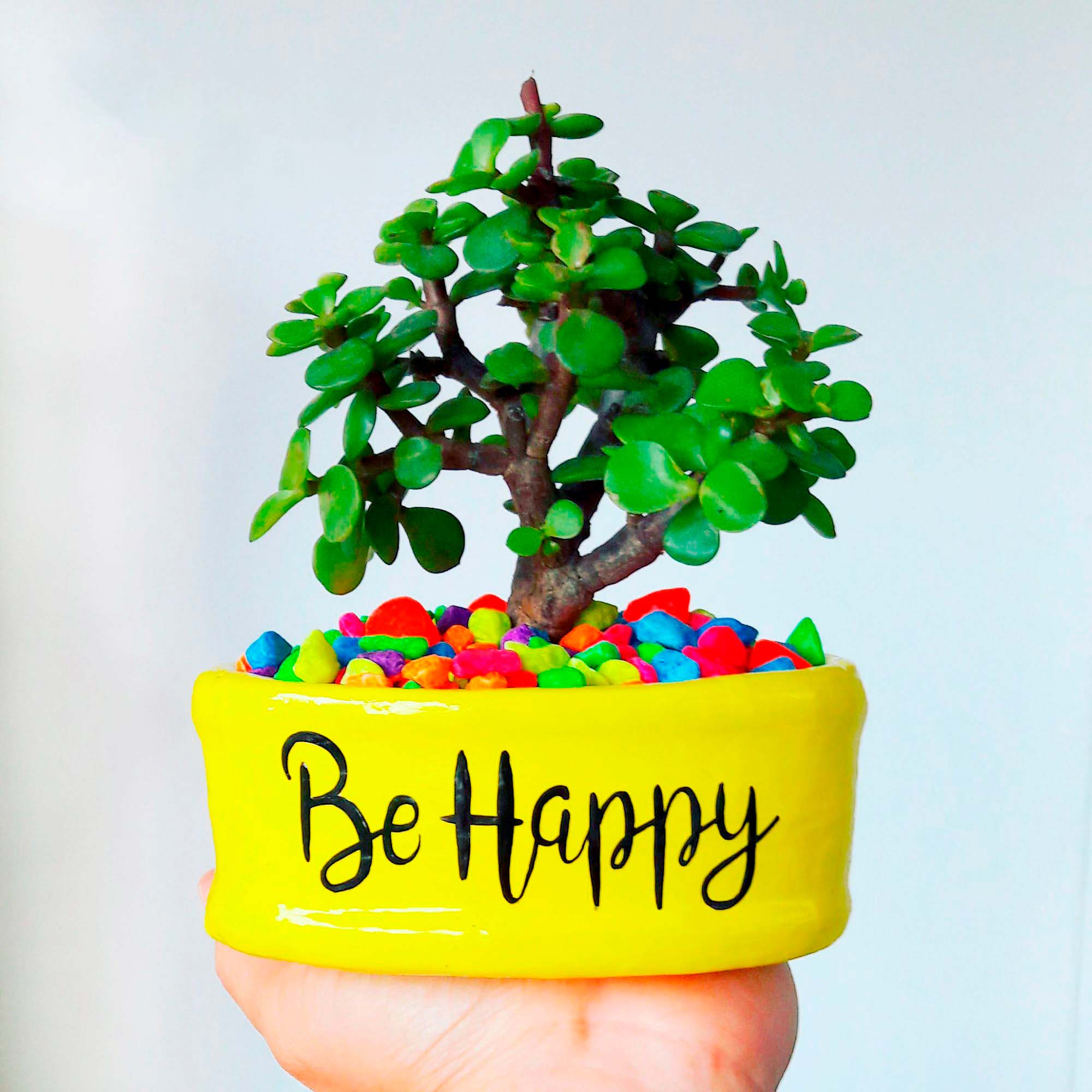 Mini maceta amarillo piedras colores