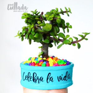 Mini maceta celeste piedras colores