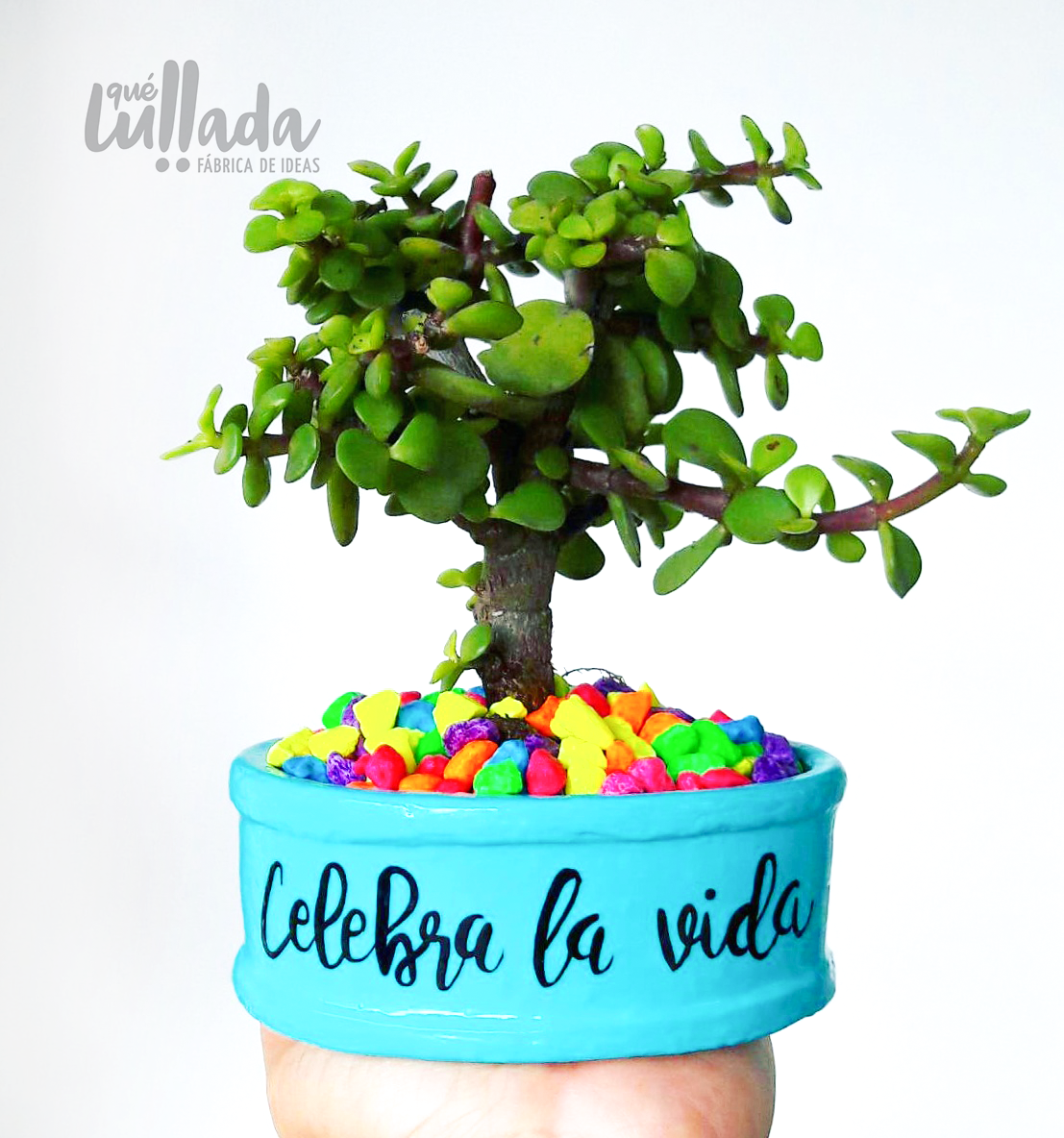 Mini maceta celeste piedras colores