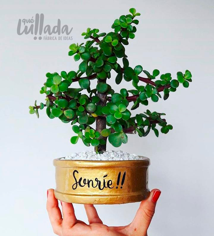 Mini maceta dorada piedras blancas