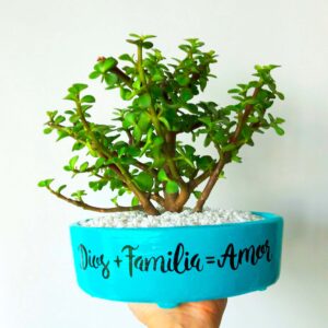 Maceta celeste piedras blancas