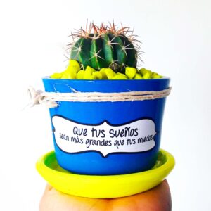 Maceta Azul rey Plato Amarillo neon Piedra Amarilla