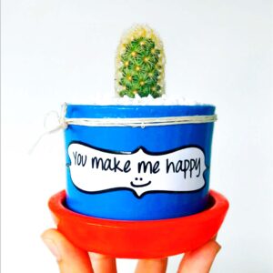 maceta azul rey plato rojo neon piedra blanca