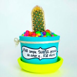 Maceta Celeste Plato Amarillo neon Piedra Colores