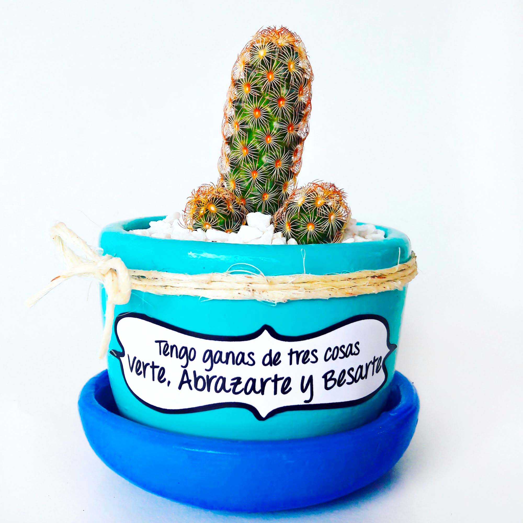 Maceta celeste plato azul rey piedra blanca