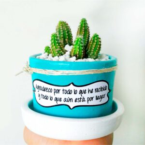 Maceta celeste plato blanco piedra blanca