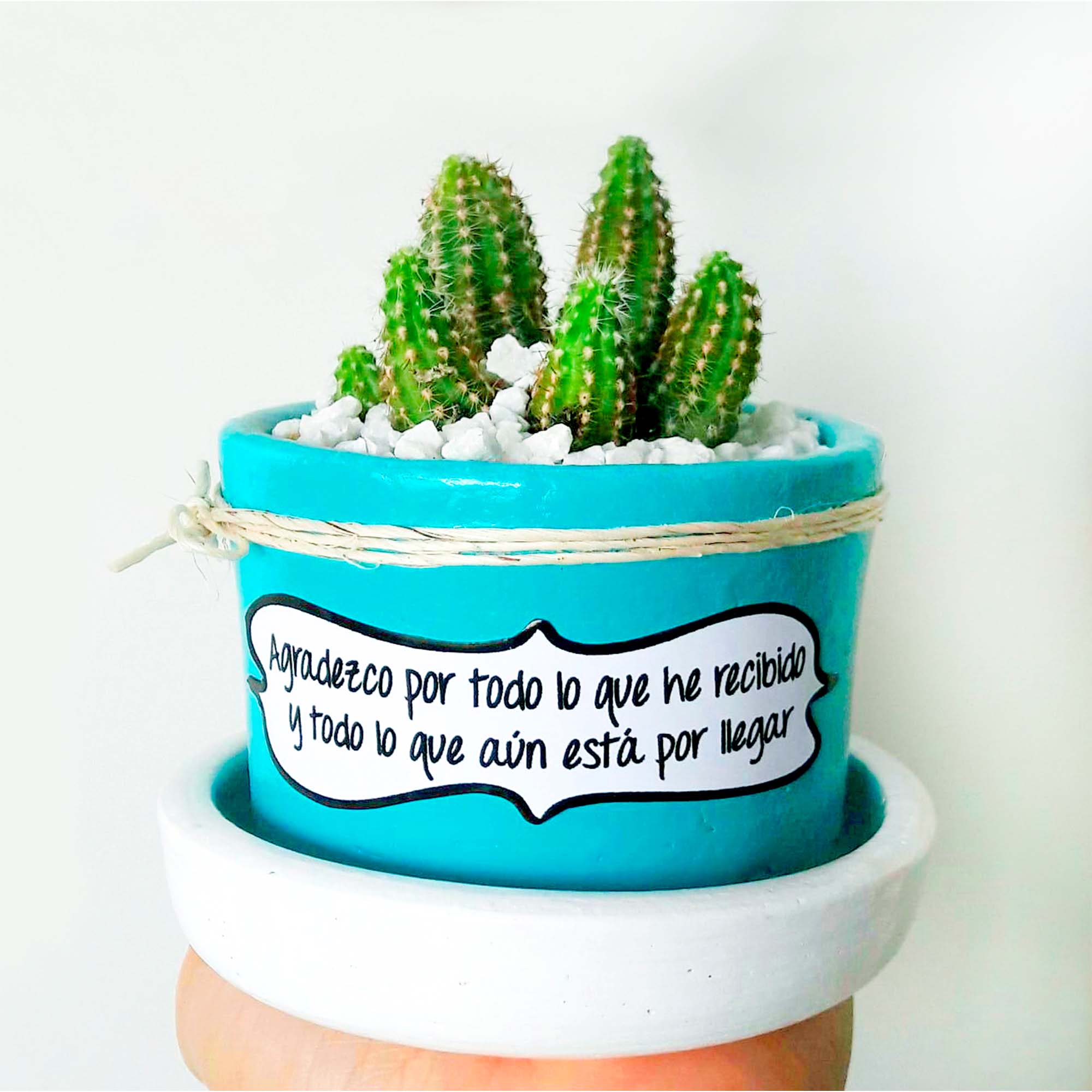 Maceta celeste plato blanco piedra blanca