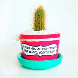 Maceta magenta Plato aguamarinaPiedra blanca