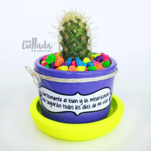 Maceta lila plato amarillo neon piedra colores