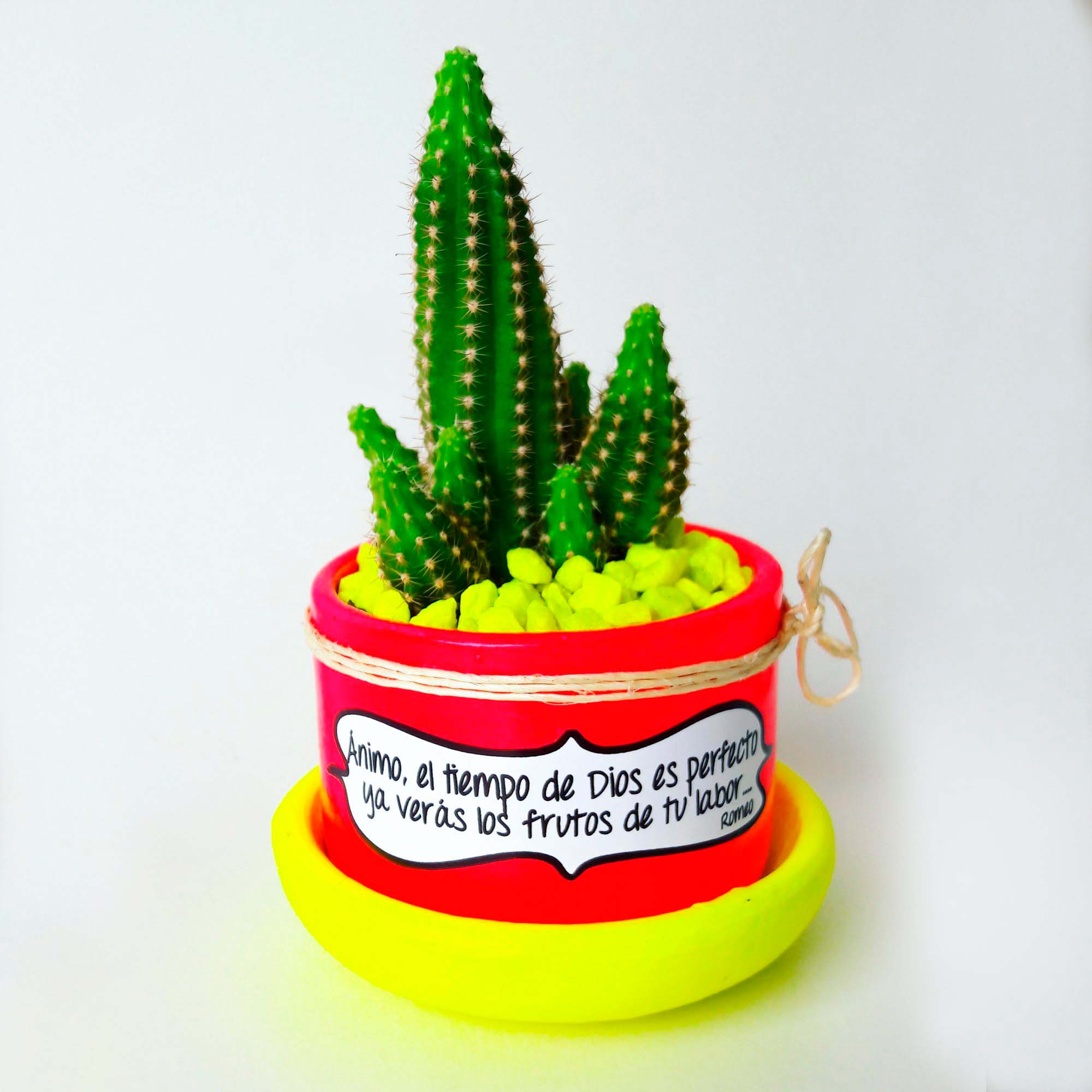 Maceta Rojo neon Plato Amarillo neon Piedra Amarilla