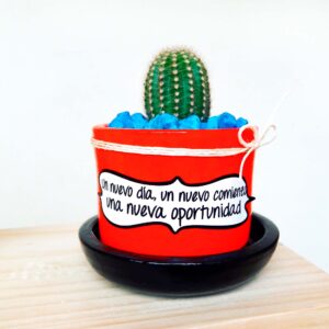 Maceta rojo plato negro piedra azul