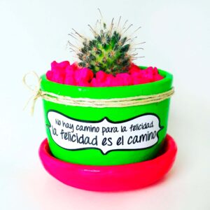 Maceta Verde neon Plato fuscia Piedra Fuscia