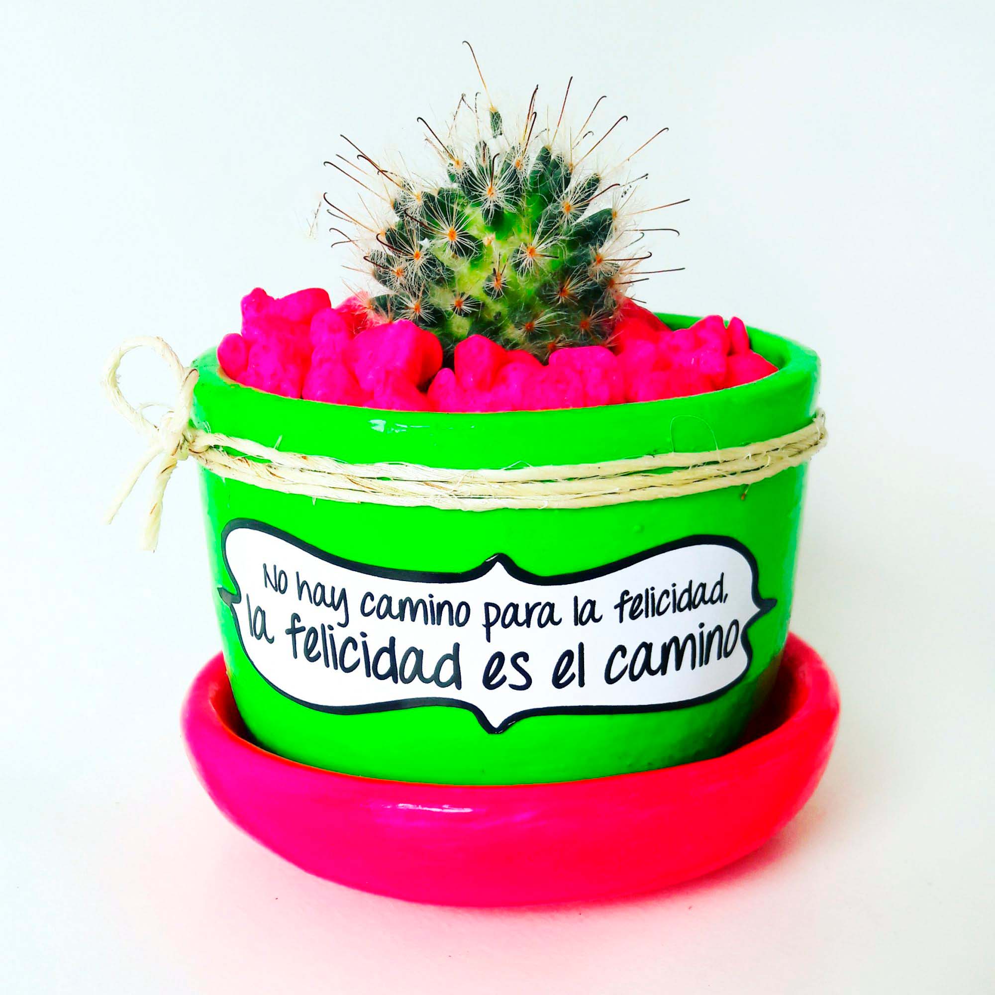 Maceta Verde neon Plato fuscia Piedra Fuscia