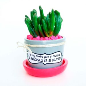 Maceta gris plato fuscia piedra fuscia