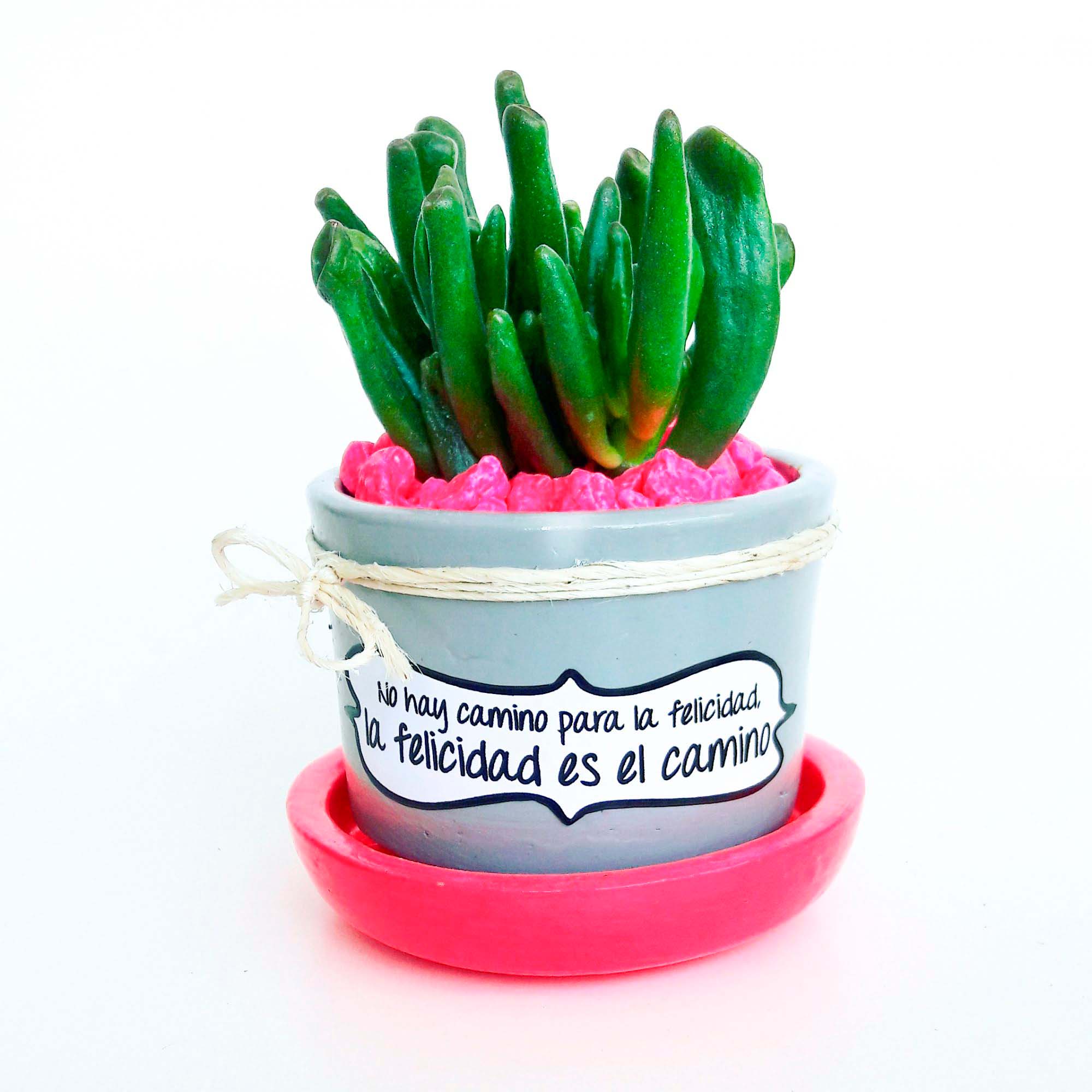 Maceta gris plato fuscia piedra fuscia