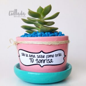 Maceta rosada plato celeste piedra azul