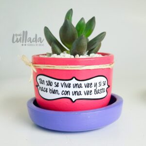 Maceta rosa plato lila piedra blanca