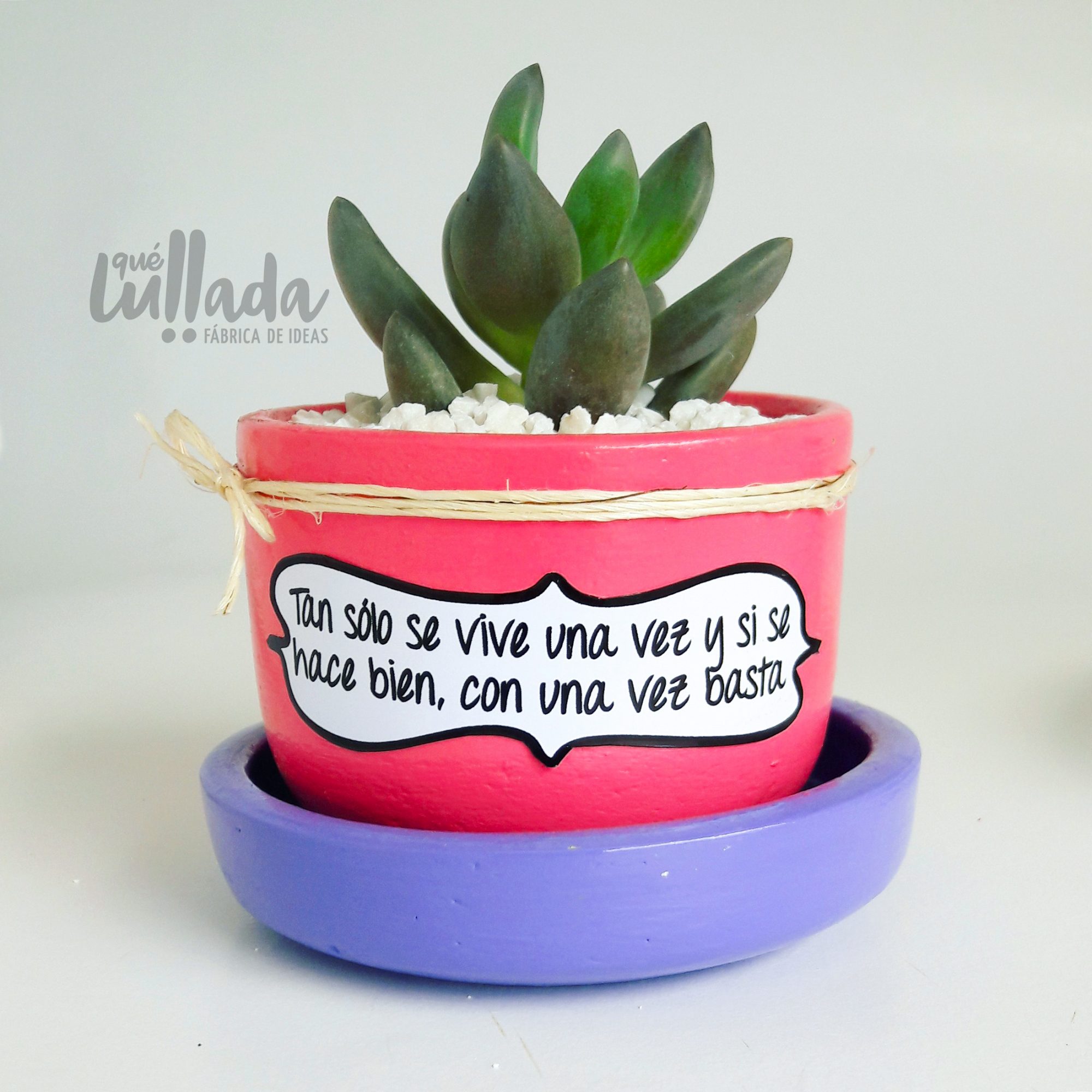 Maceta rosa plato lila piedra blanca