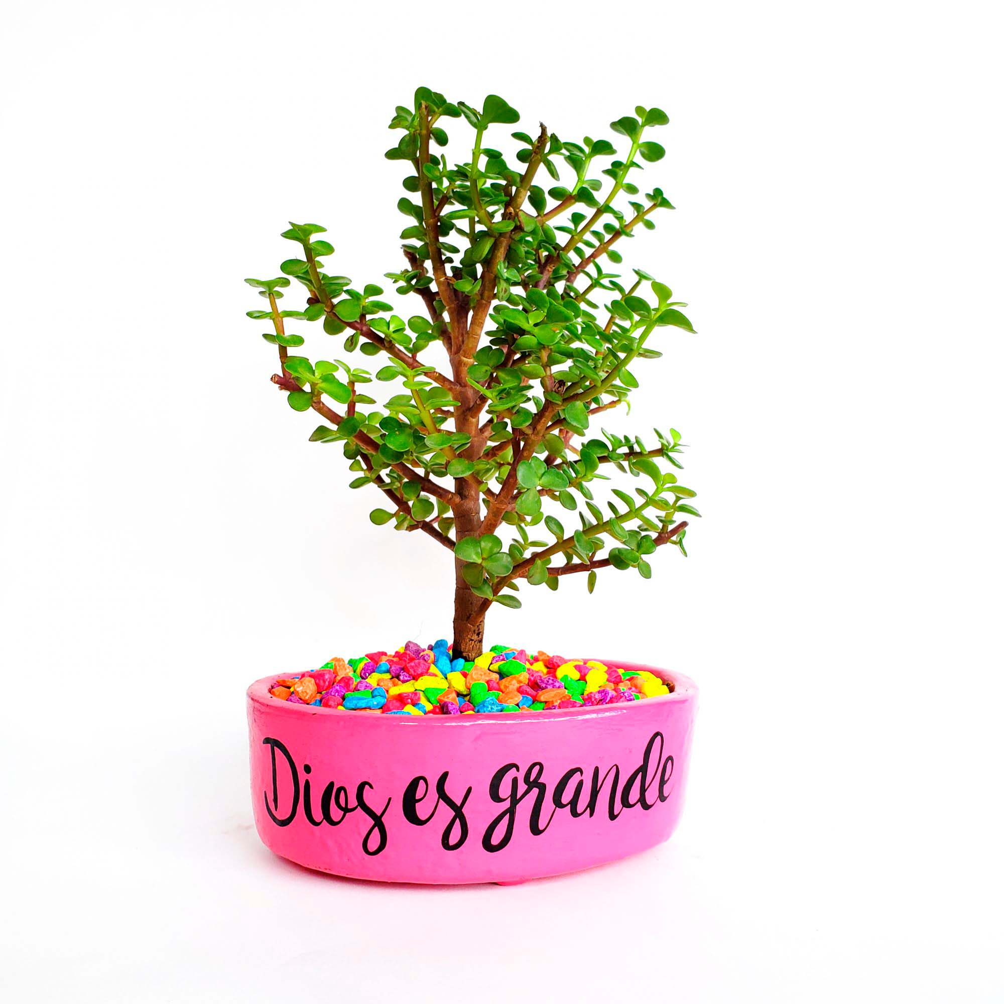 Maceta rosada piedras colores