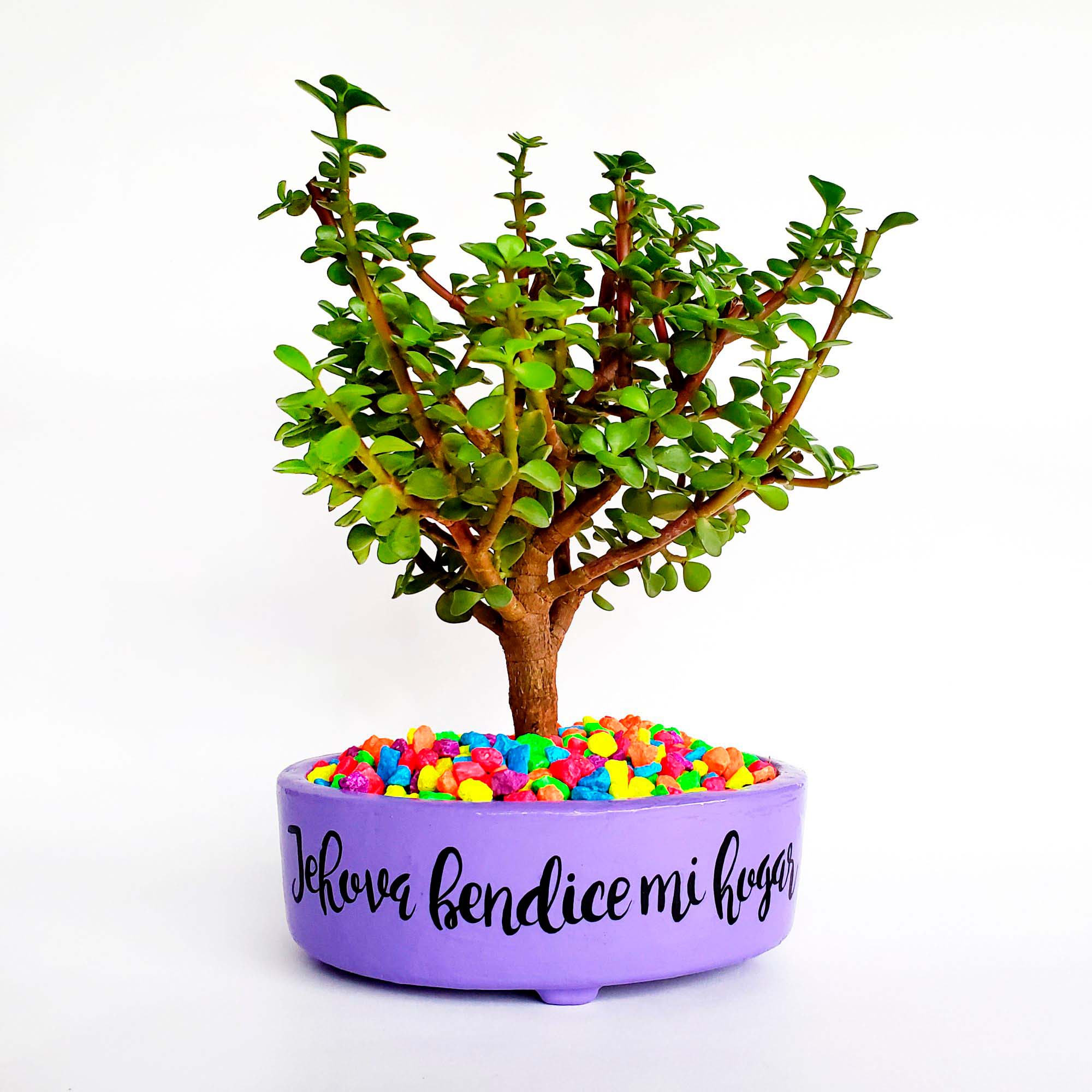 Maceta lila piedras colores