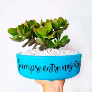 Color celeste piedras blancas