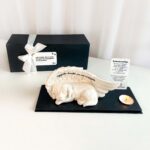 kit-condolencias-mascota-perro