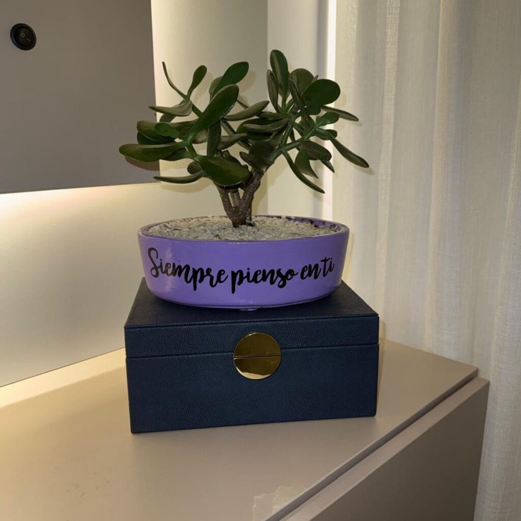 Imagen #1 de Oscar Imitola Madero