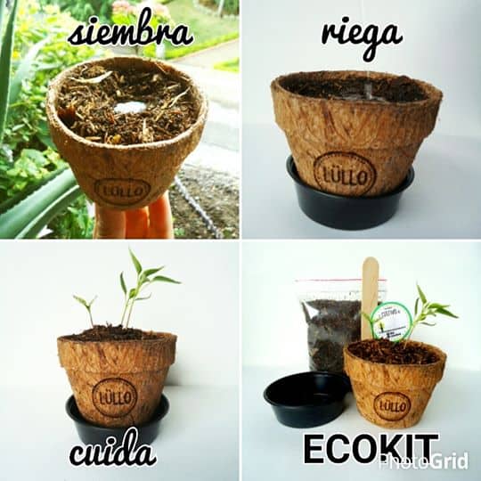 Kit de Huerta - Ecokit - Image 2