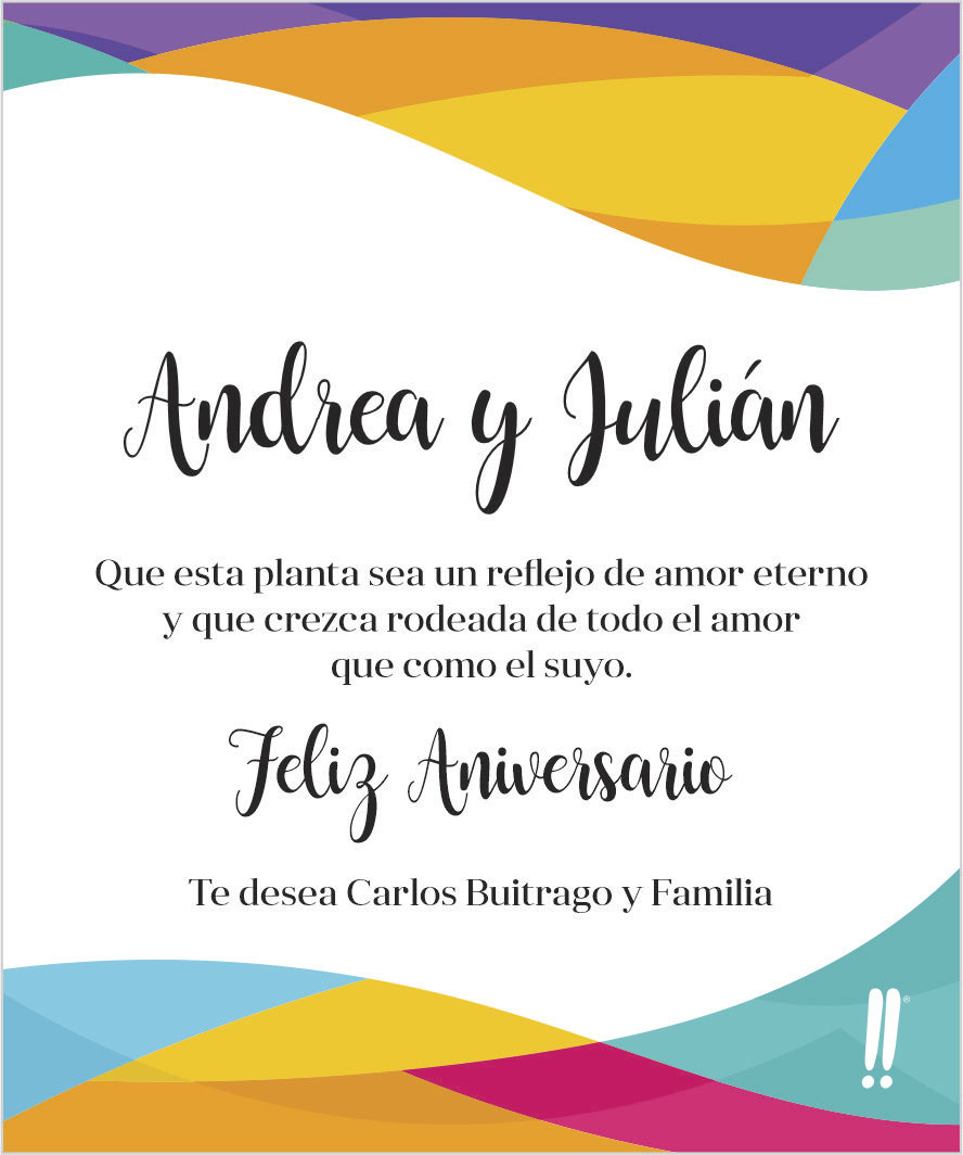 Bonsái de Aniversario - Image 4